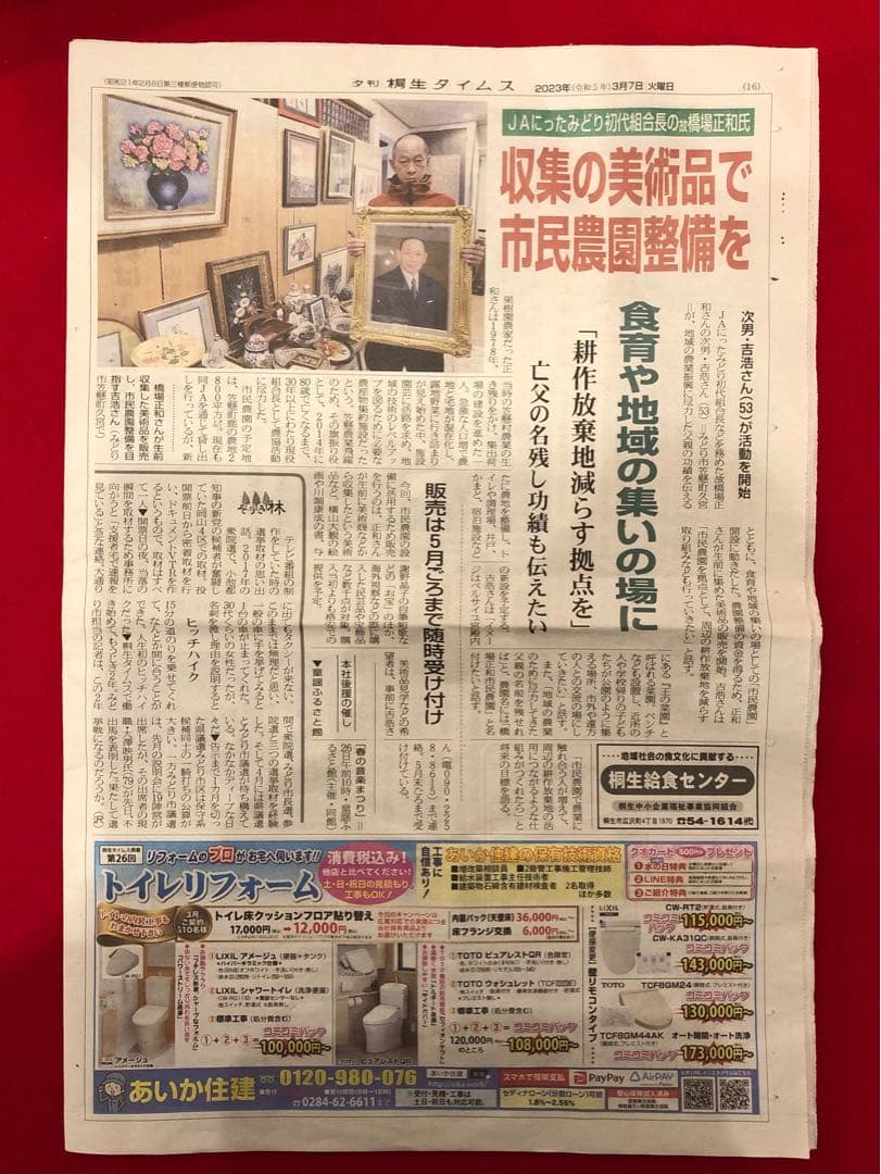 花乙女コレクション【志賀納　桜、通り抜け】購入金額より60％お値引き！！