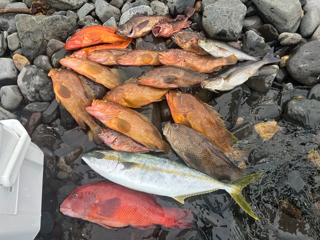 SLJアシストフック 最高峰針 Mサイズ20本Lサイズ30本 合計50