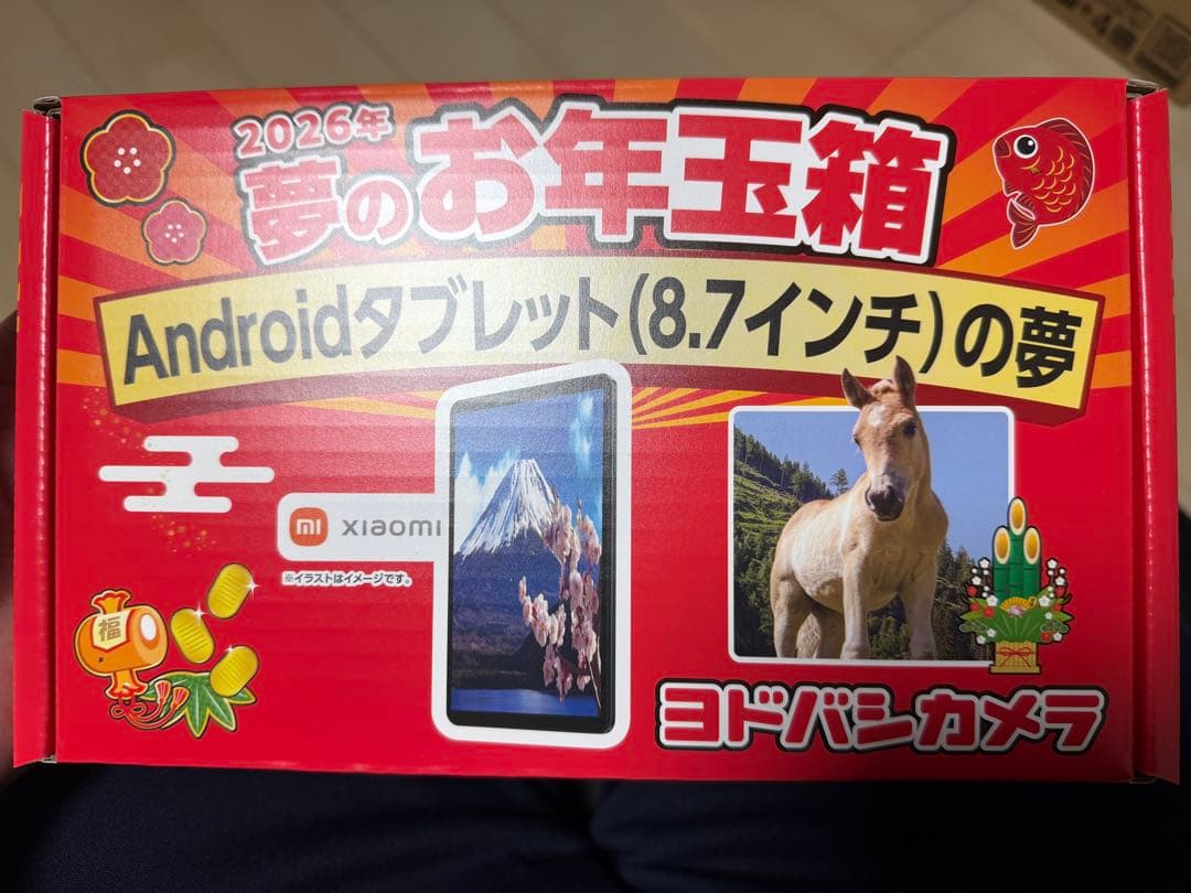 ヨドバシカメラ 夢のお年玉箱 Androidタブレット（8.7インチ）の夢 ヨドバシカメラ 夢のお年玉箱Androidタブレット（8 7インチ）の夢