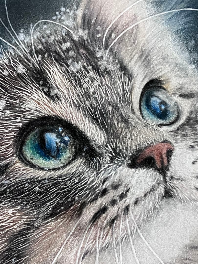 満天の雪 色鉛筆画 パステル