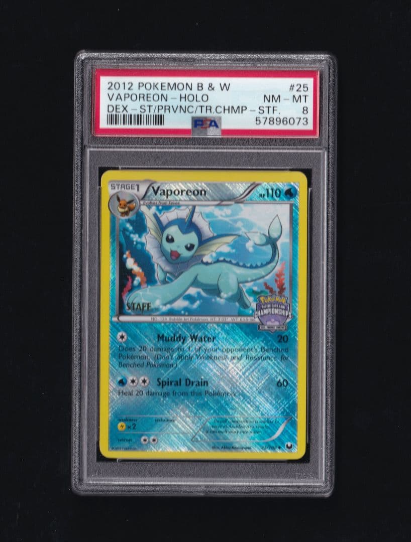 英版シャワーズ チャンピオンシップSTAFFプロモ - PSA NM-MT8 英版シャワーズ チャンピオンシップSTAFFプロモ - PSA NM-MT8 英版