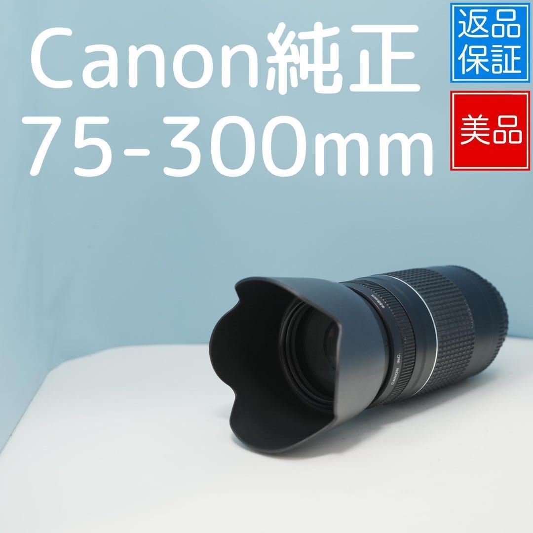 Canon純正 75-300mm 望遠レンズ 極美品 a4184 20250509160713_331_.jpg