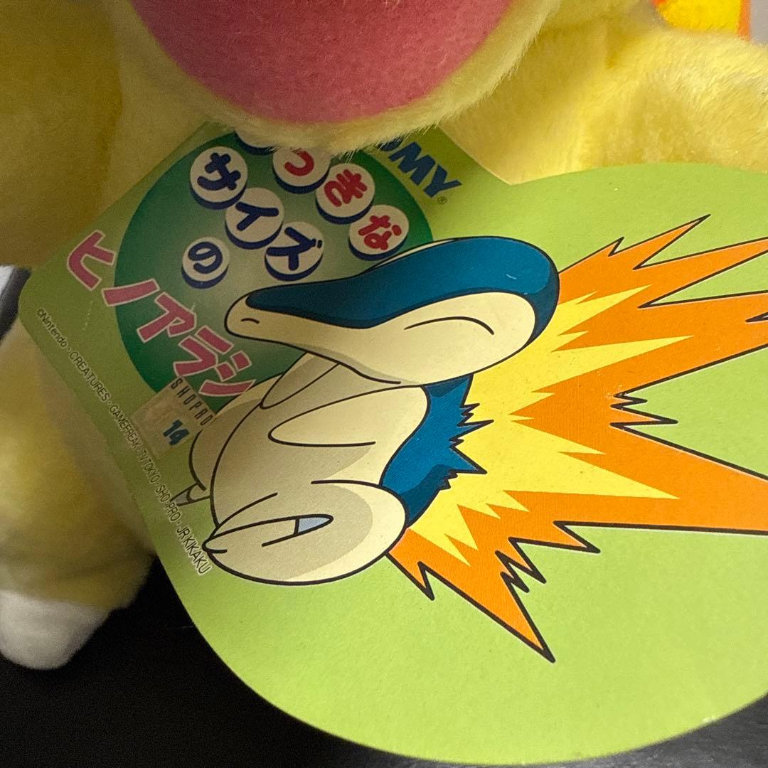 おっきなサイズのヒノアラシ　トミー