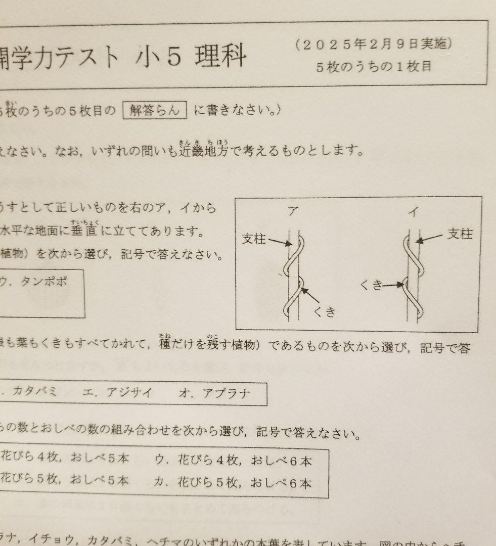 浜学園 小5 公開学力テスト 最新版 2025年 4教科