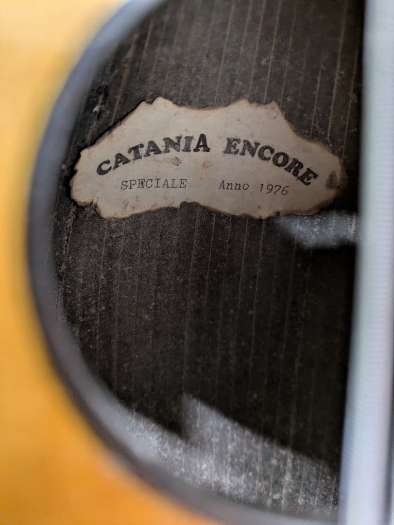 マンドリン/CATANIA ENCORE/1976年製/ハードケース付 - メルカリ