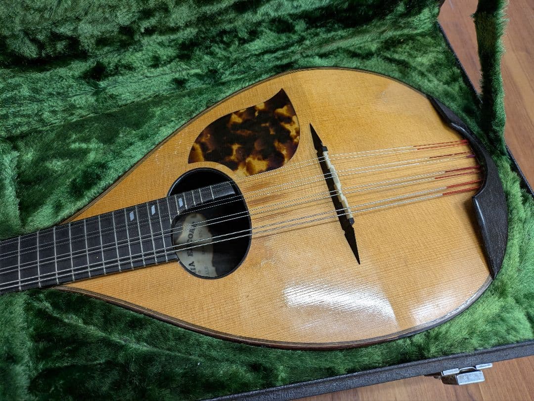 マンドリン/CATANIA ENCORE/1976年製/ハードケース付 - メルカリ