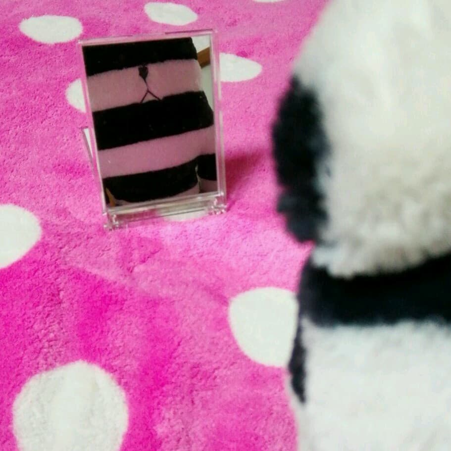 ✳《1005》チャングンソク　折り畳みミラー　鏡　ミラー