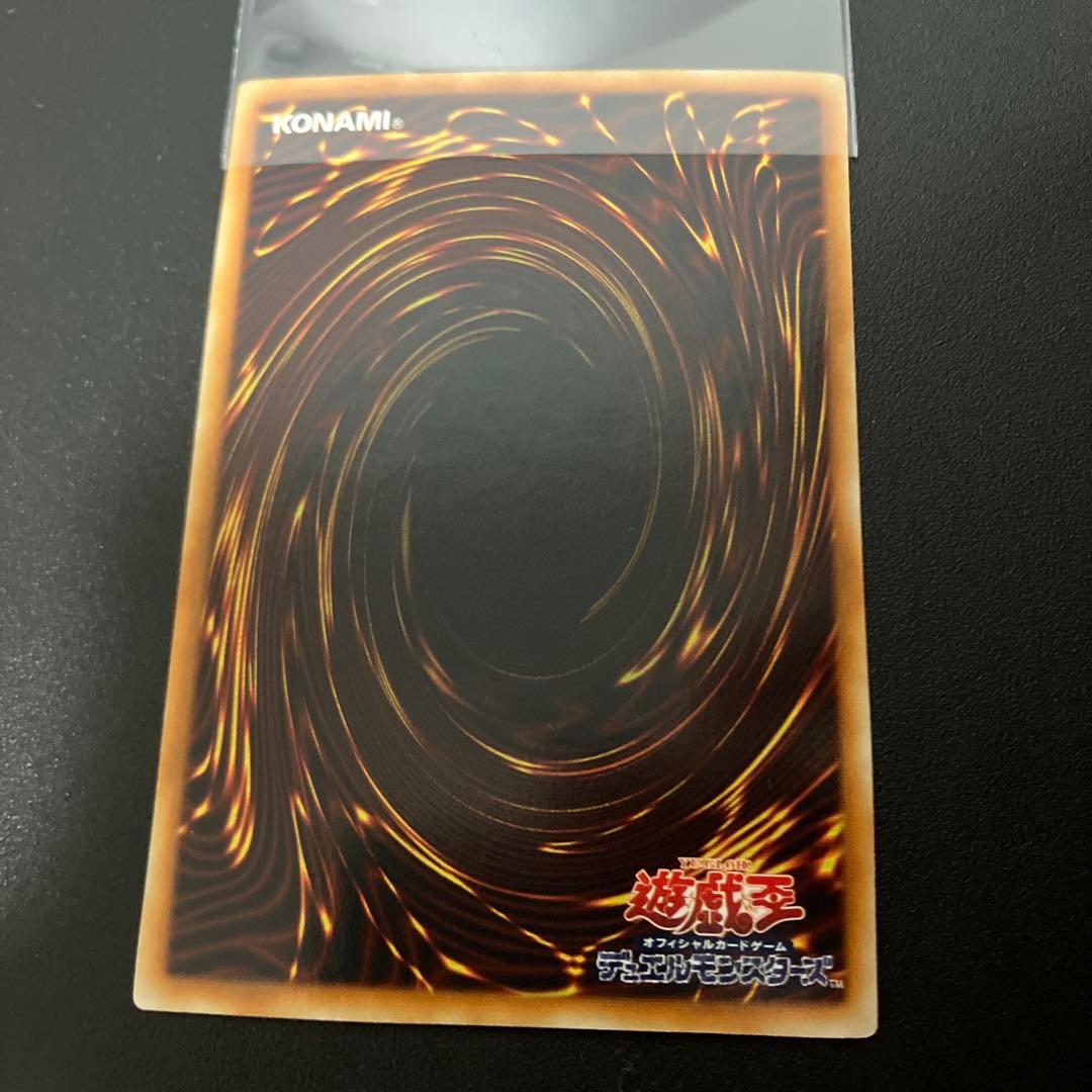 遊戯王　スターダストドラゴン　ブラックローズドラゴン　ホロ　2枚セット