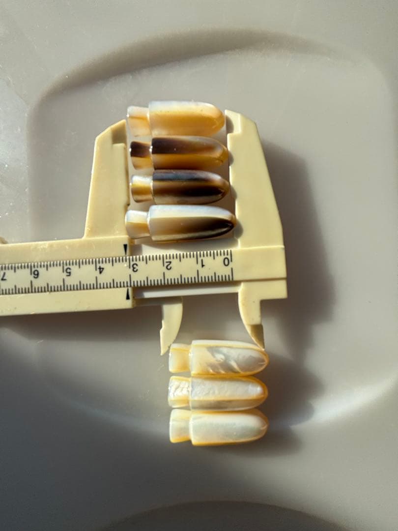 トローリングヘッド　天然貝 白蝶貝のトローリングヘッド ④ | まなぶの盆栽、ジギング、日々あれこれ