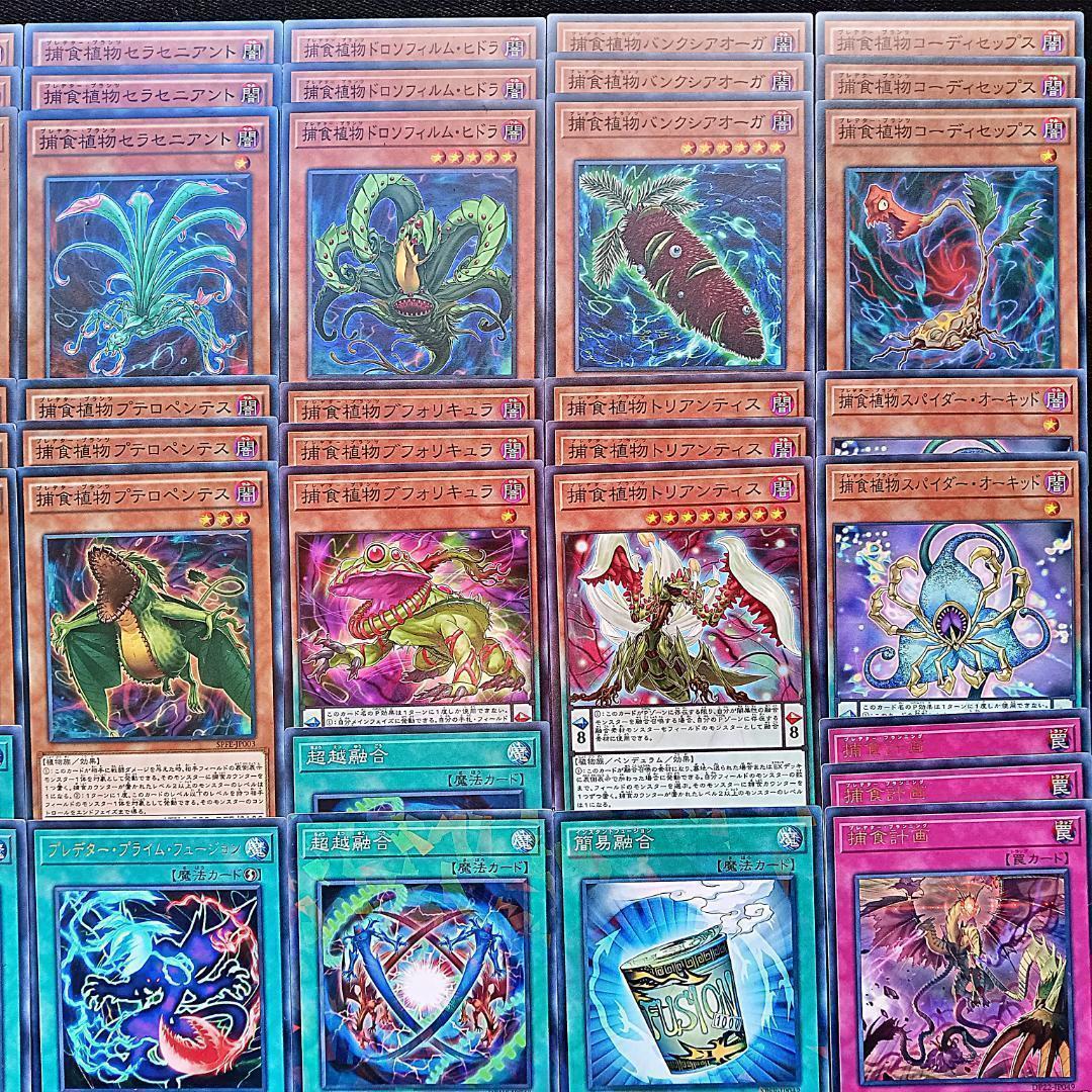 288 捕食植物 デッキパーツ 遊戯王オフリススコーピオ 捕食活動 捕食