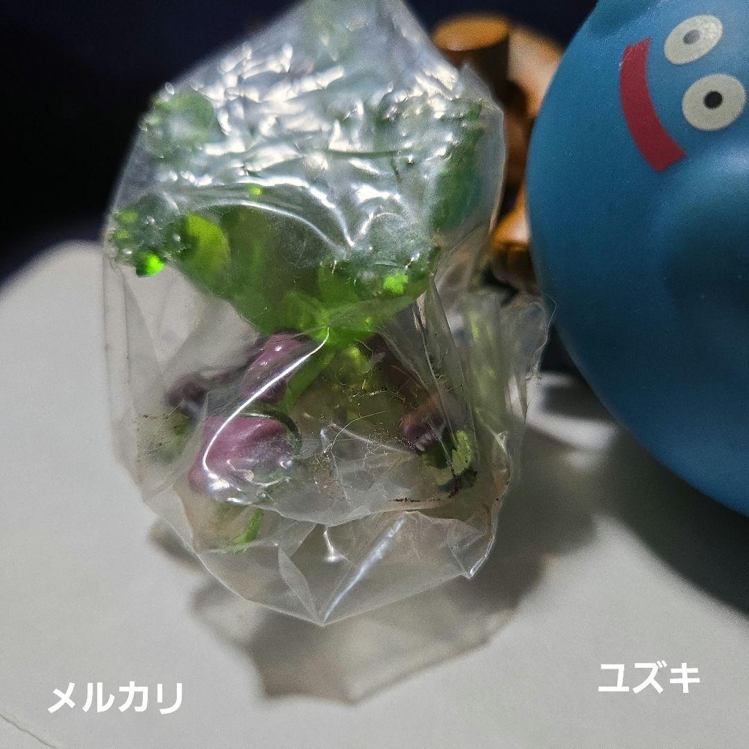 未開封】ドラゴンクエストクリスタルモンスターズやまたのおろち④の