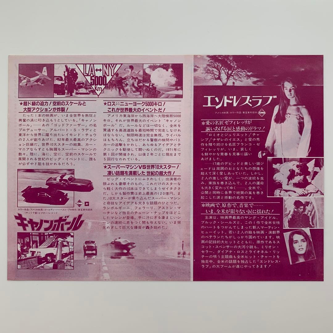 エンドレス・ラブ＆キャノンボール 2本立て映画チラシ（映画フライヤー