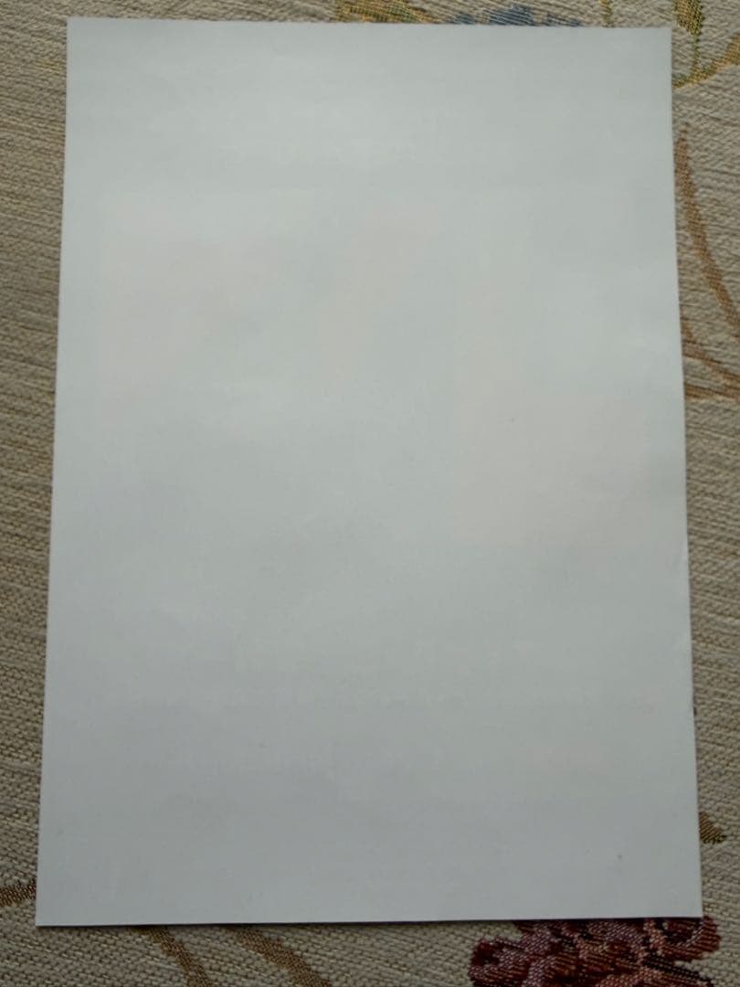 マイケル・シェンカー 2026年日本ツアー公式グッズ　ピックセット&キーホルダー