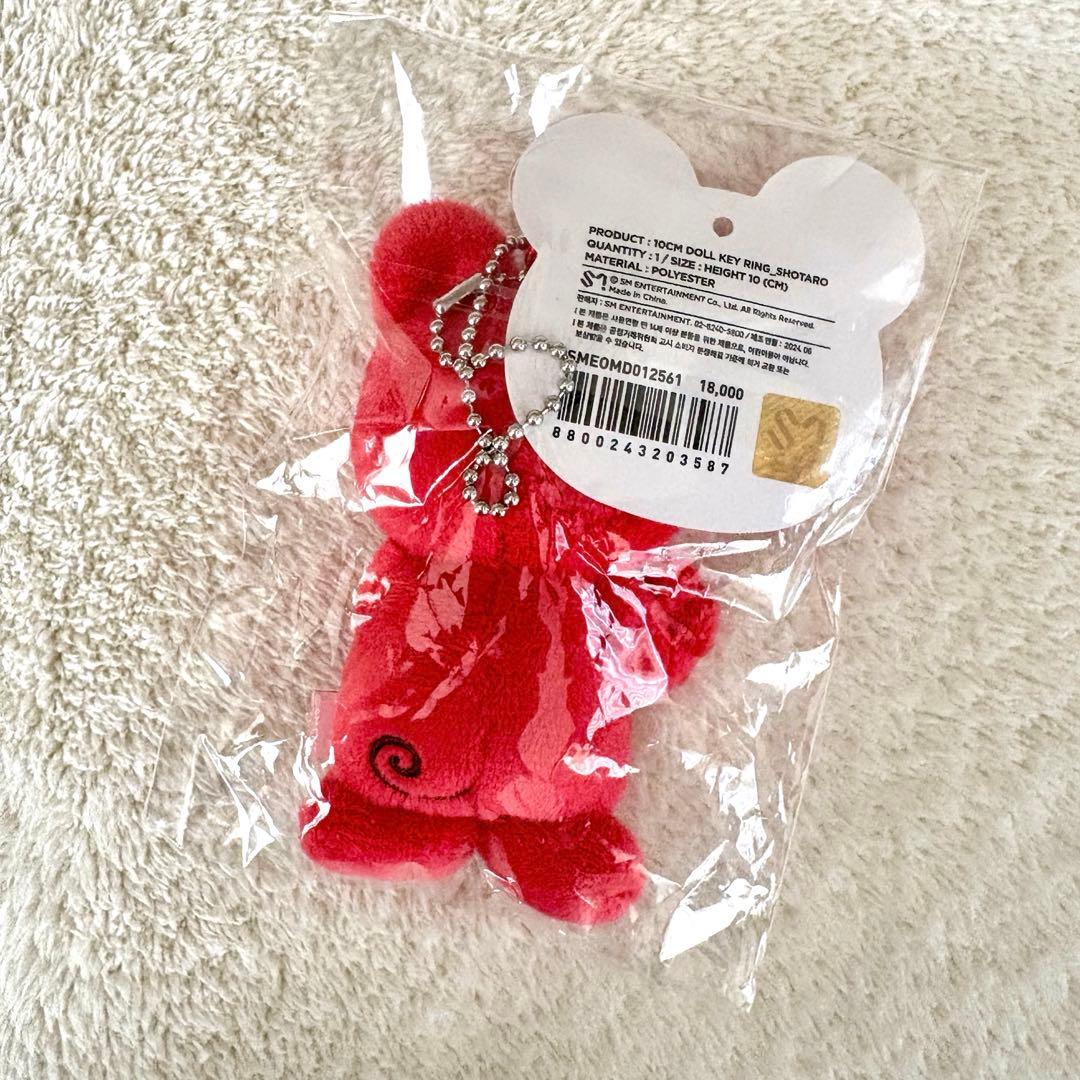 RIIZE ドール キーリング 10cm ショウタロウ リズコ - メルカリ