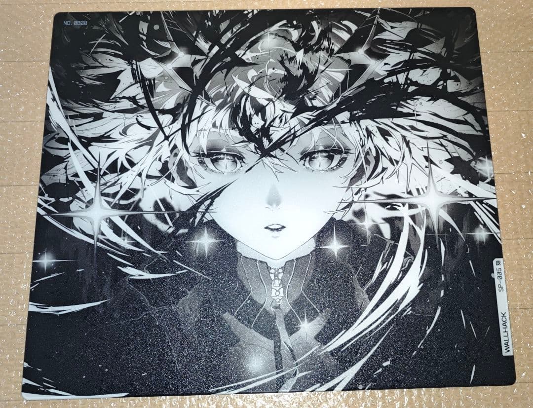 美品】WALLHACK SP-005 限定版: AWAKENING SORA - メルカリ