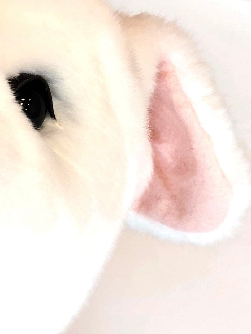 アルプスの少女ハイジ展 等身大 ユキちゃん ぬいぐるみ 希少品 - メルカリ