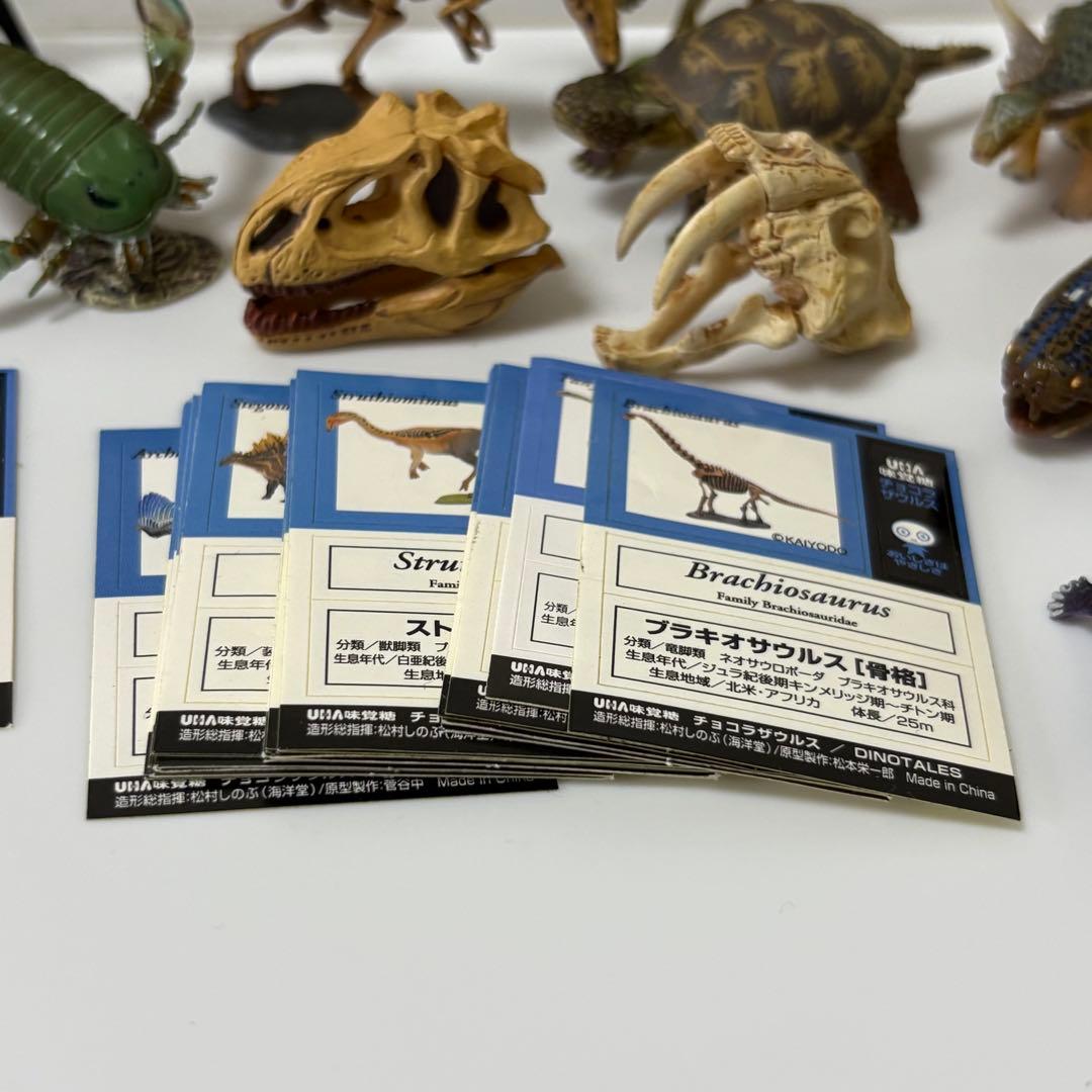 超リアルな恐竜・古代生物フィギュア チョコラザウルス UHA味覚糖 まとめ