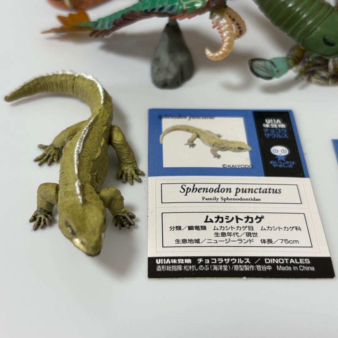 超リアルな恐竜・古代生物フィギュア チョコラザウルス UHA味覚糖 まとめ