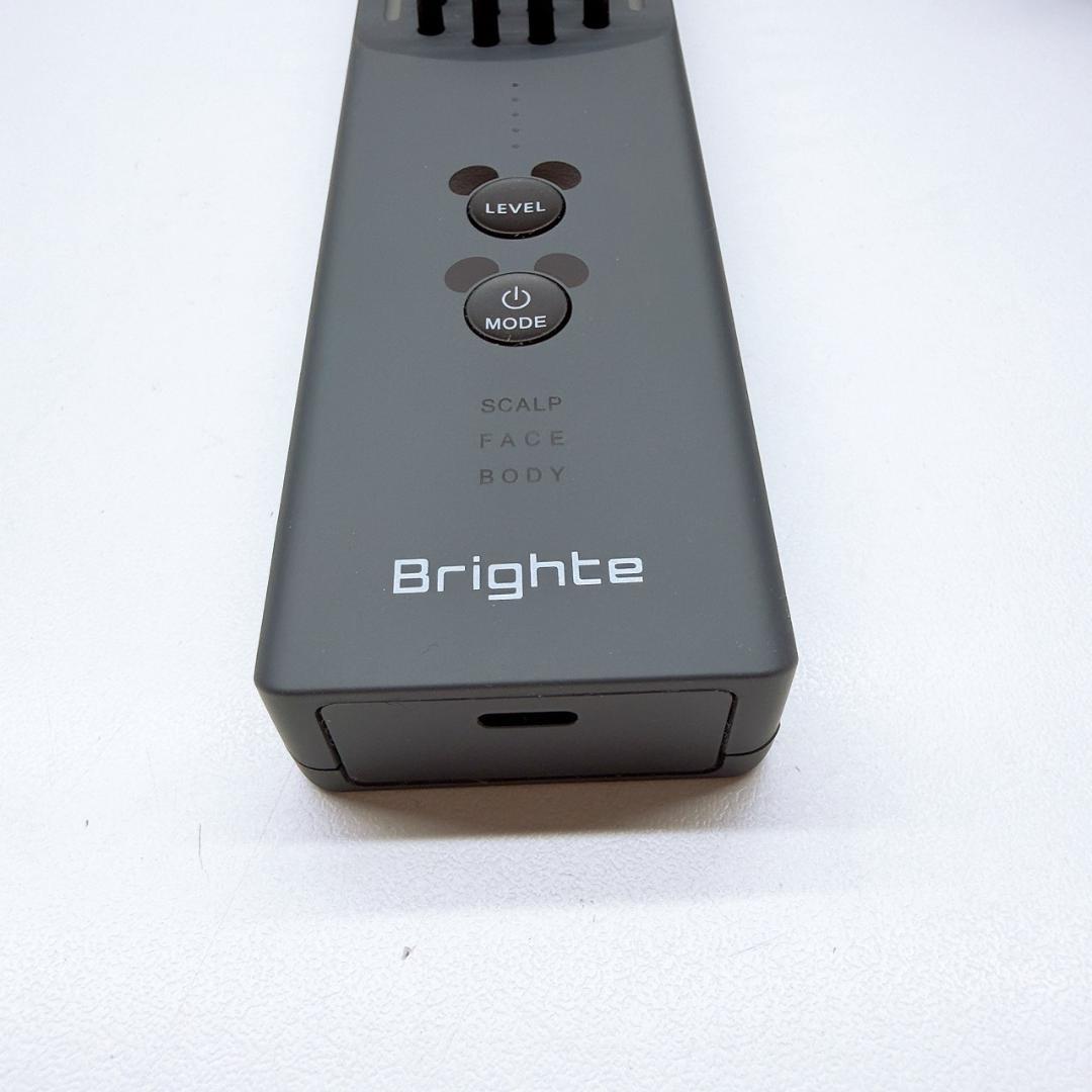 《新品未使用⭐️付属品完備》ブライト エレキブラシ プラス ミッキー