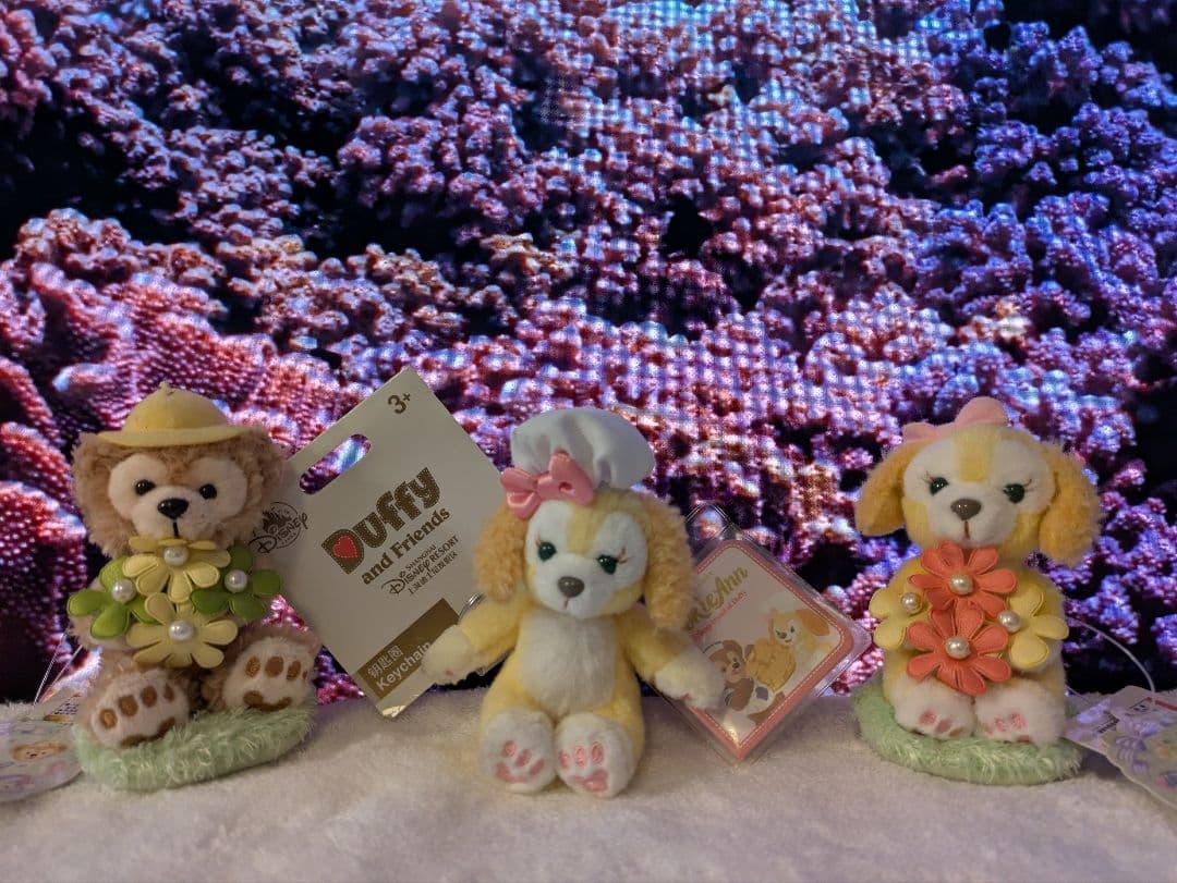 ✨ダッフィーフレンズ　✨くまちゃん お友達皆お纏め