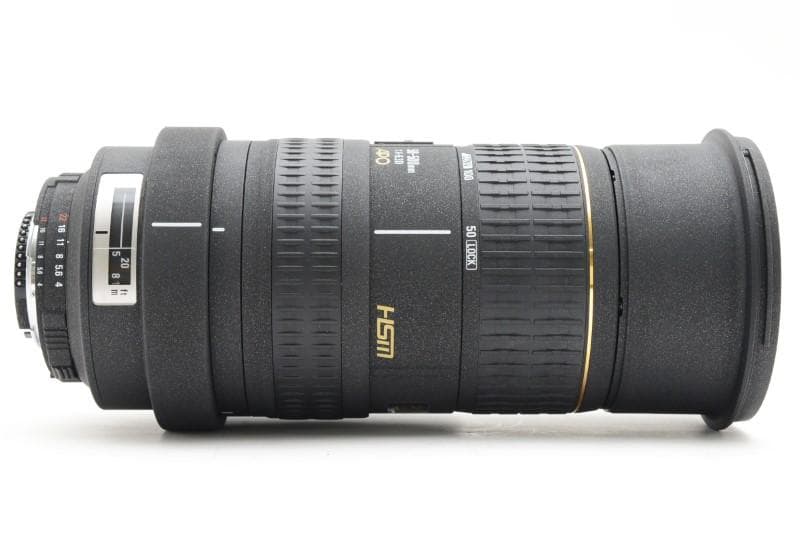 レンズ(ズーム) SIGMA APO 50-500mm F/4-6.3 D EX HSM