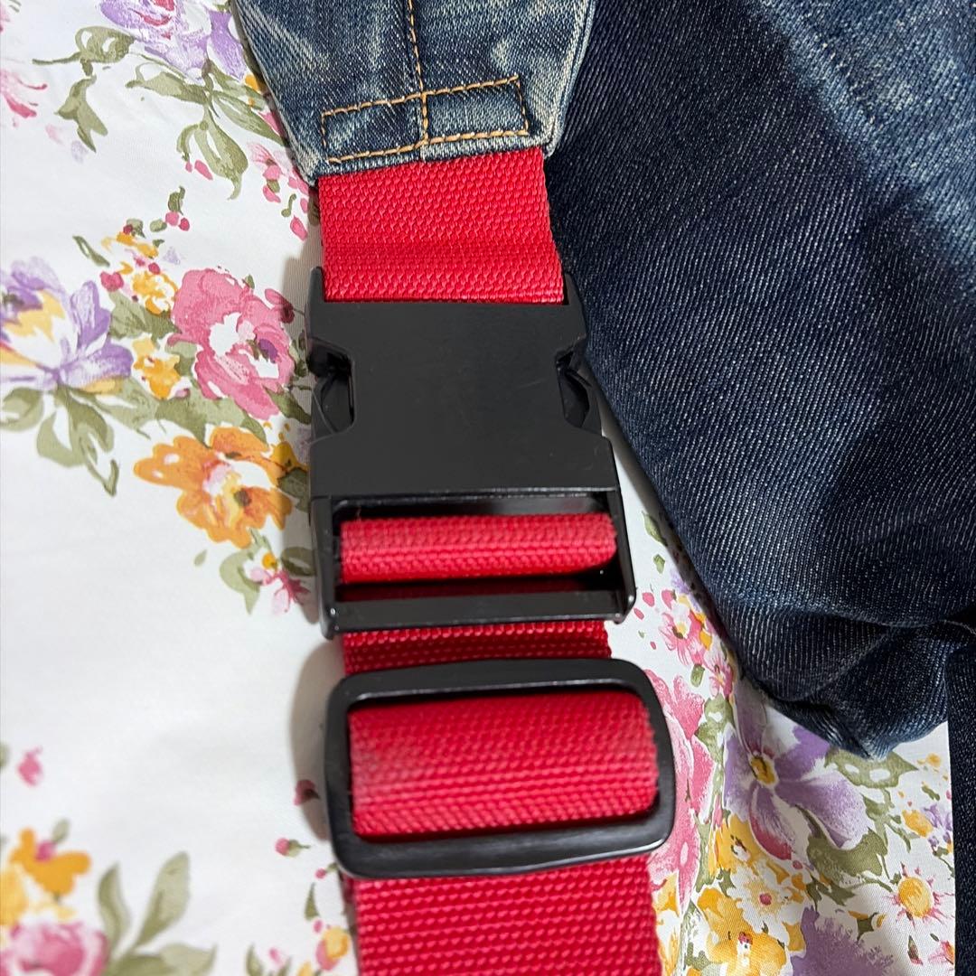 EVISU ボディバック 希少エビスヤ赤タブ かもめ 5ポケット エヴィス