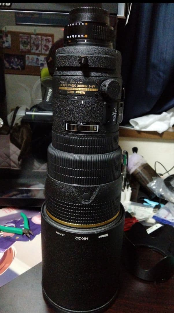 [サンニッパ]ニコン AF-S 300mmF2.8D ED IF レンズレビュー】Ai AF-S NIKKOR 300mm F2.8D ED｜鷺