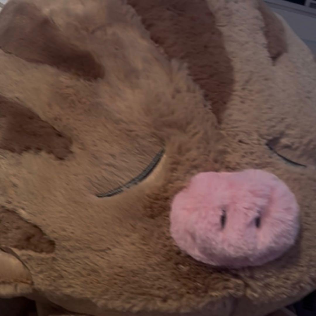 ふわふわ抱きぬいぐるみ アローラロコン　ウリムー　ゴンベ　ニャスパー　③