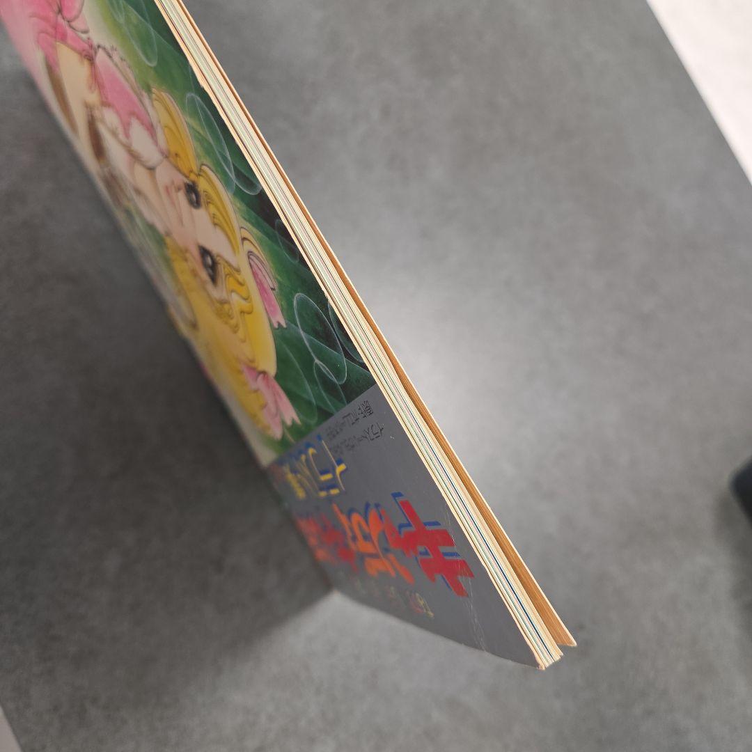 値下げ！キャンディ・キャンディ イラスト集 Part 2 - メルカリ