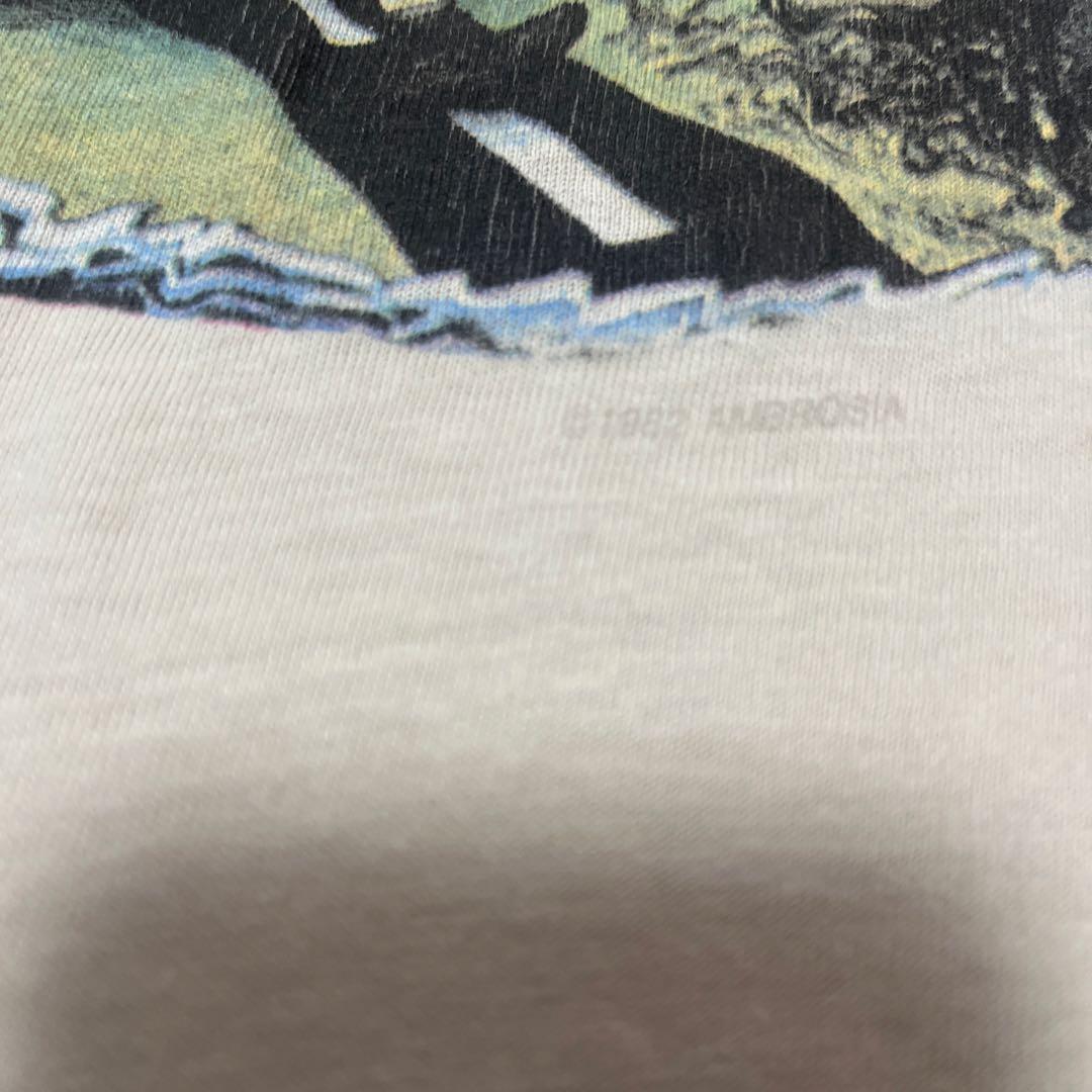 Hanes旧タグ、ロックバンド AMBROSIA Tシャツ USA製