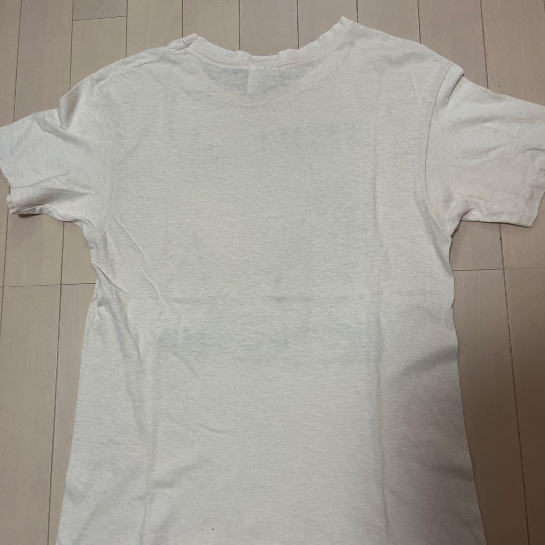 Hanes旧タグ、ロックバンド AMBROSIA Tシャツ USA製