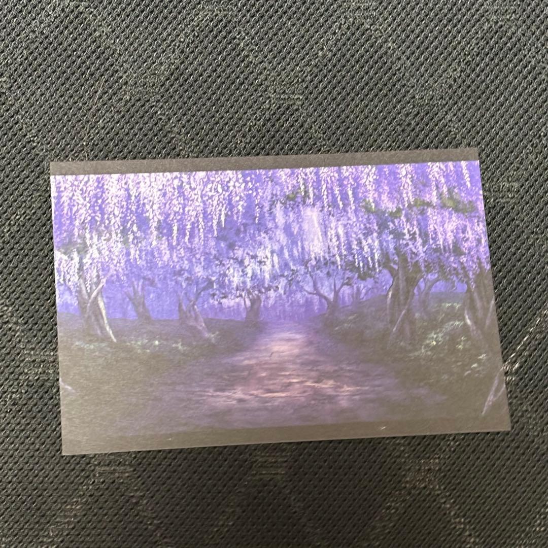 アニメ 鬼滅の刃 竈門炭治郎 立志編 アニメーション原画集 設定集 セット