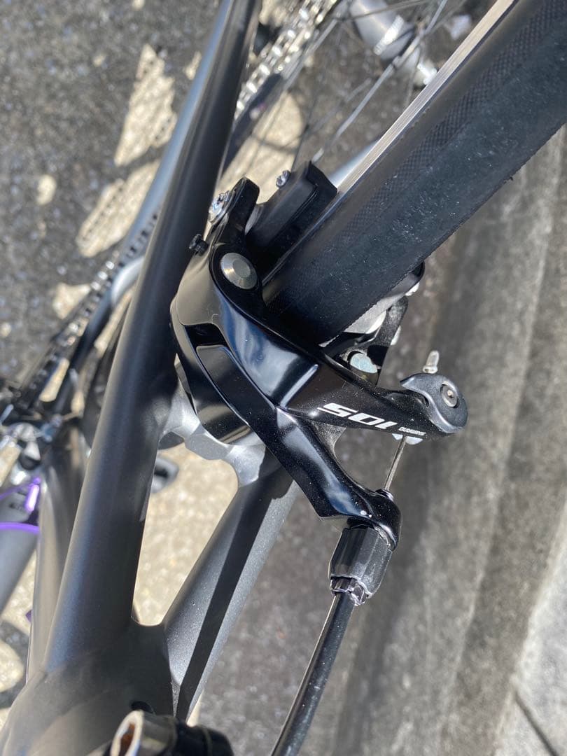 ほ*よ様 今だけ大特価Khodaabloom Farna