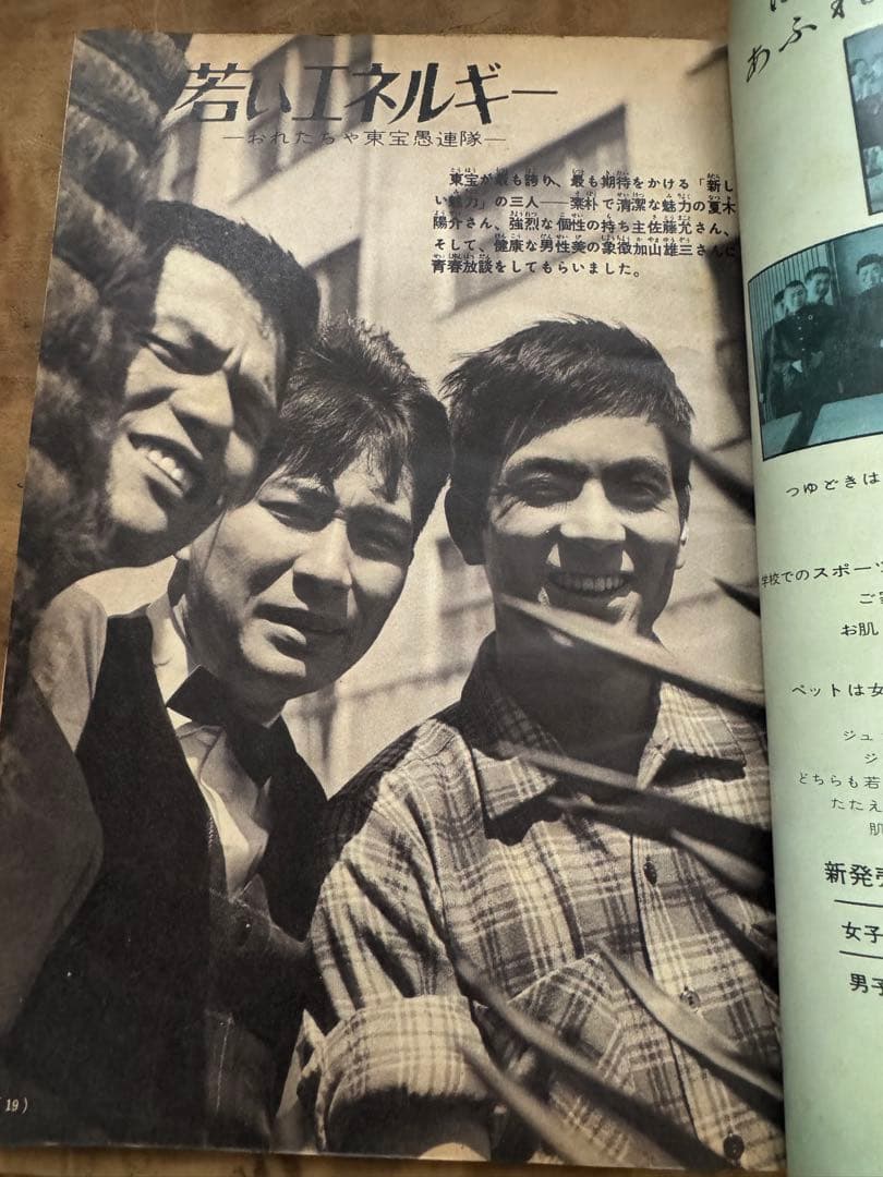 希少レア 昭和レトロ雑誌【美しい十代】1961年6月号 表紙:三田佳子