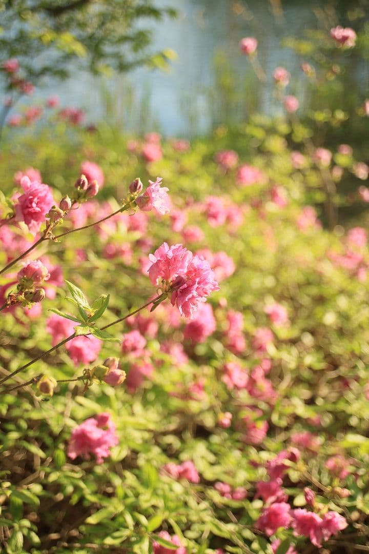 《希少》TAMRON SP 24-48mm F3.5-3.8 13A【光学美品】