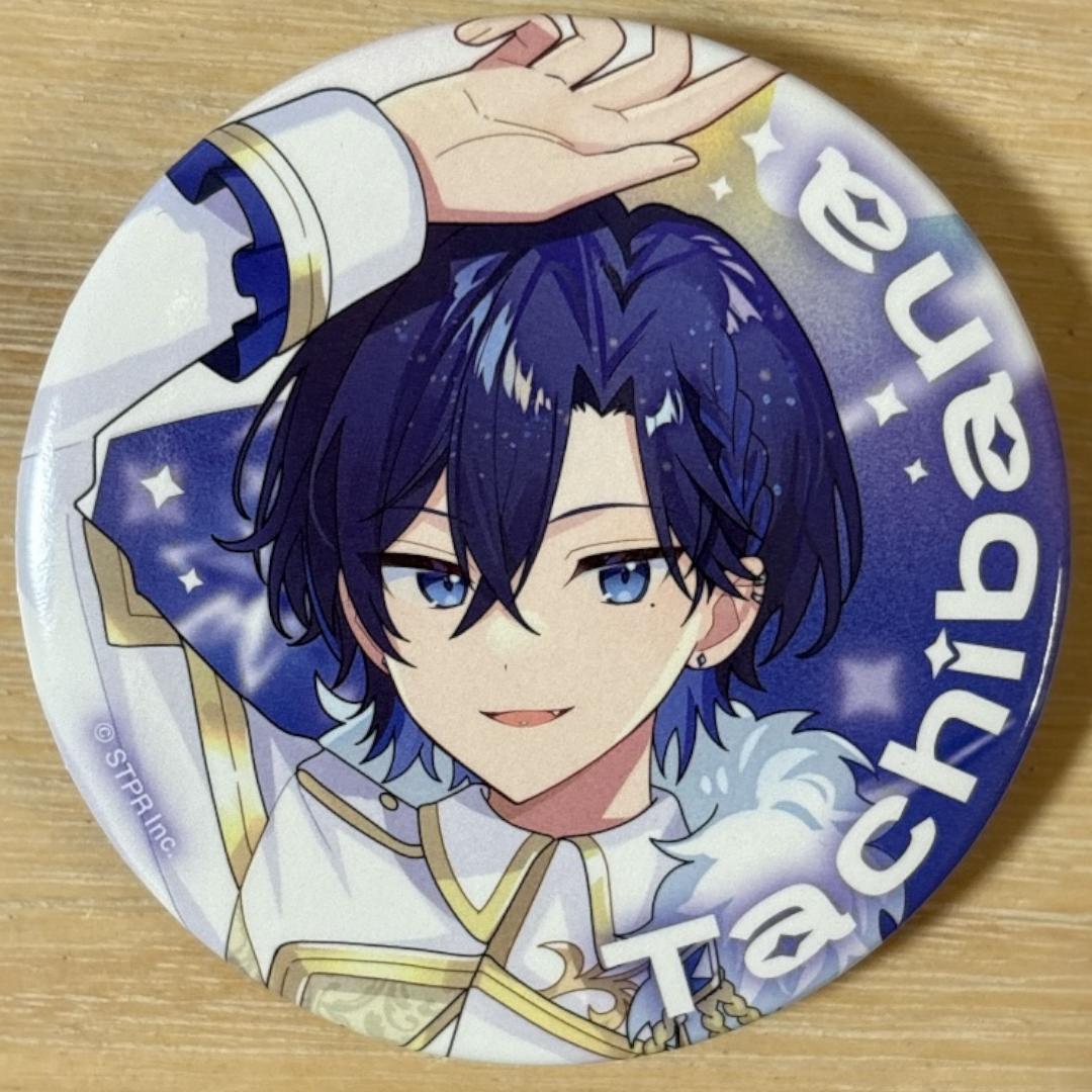 たちばな すとふぇす 2026 等身 すにすて 缶バッジ 10点