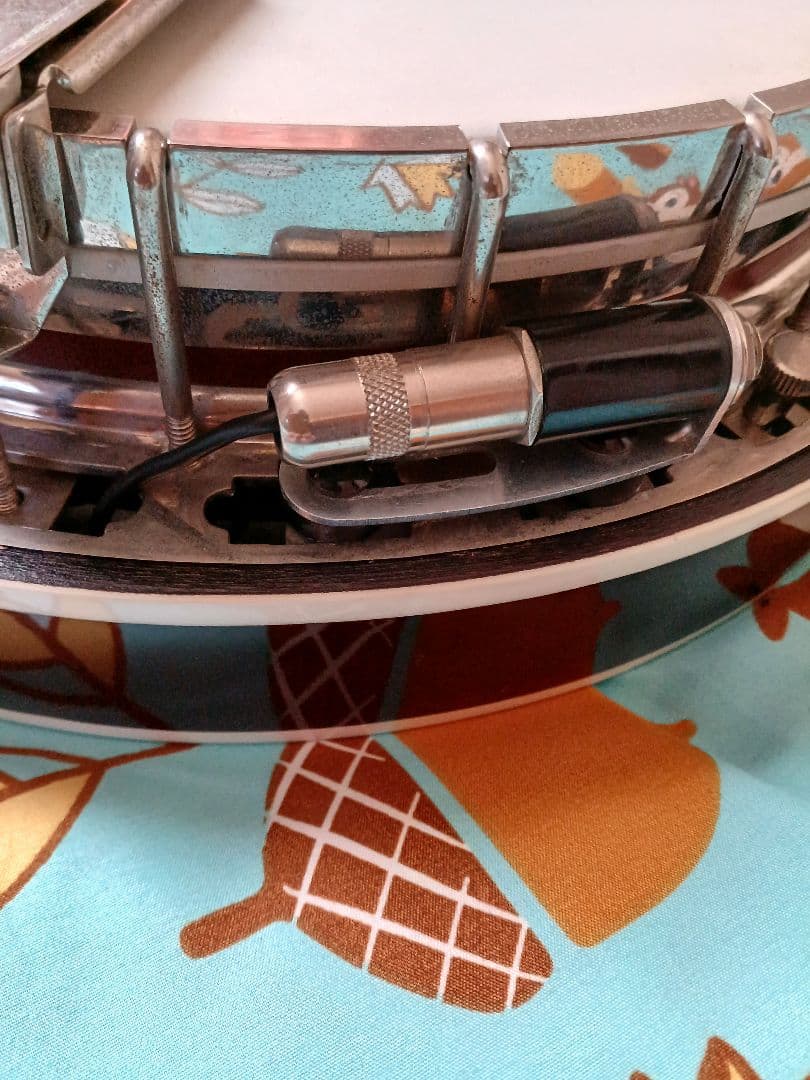 バンジョー Fishman Classic seriesピックアップ - メルカリ