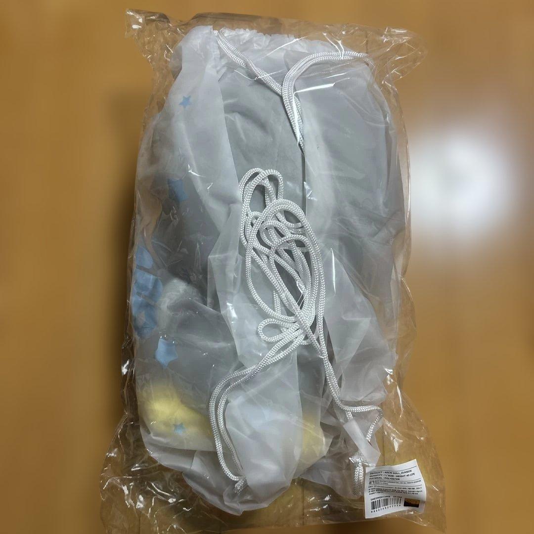 RIIZE ウンソク 40cm ぬいぐるみ ソンヨンドリ