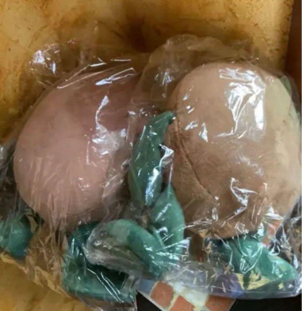 ★ゼスプリ　おまけ付きキウイブラザーズぬいぐるみ(中サイズ)グリーン&イエロー★