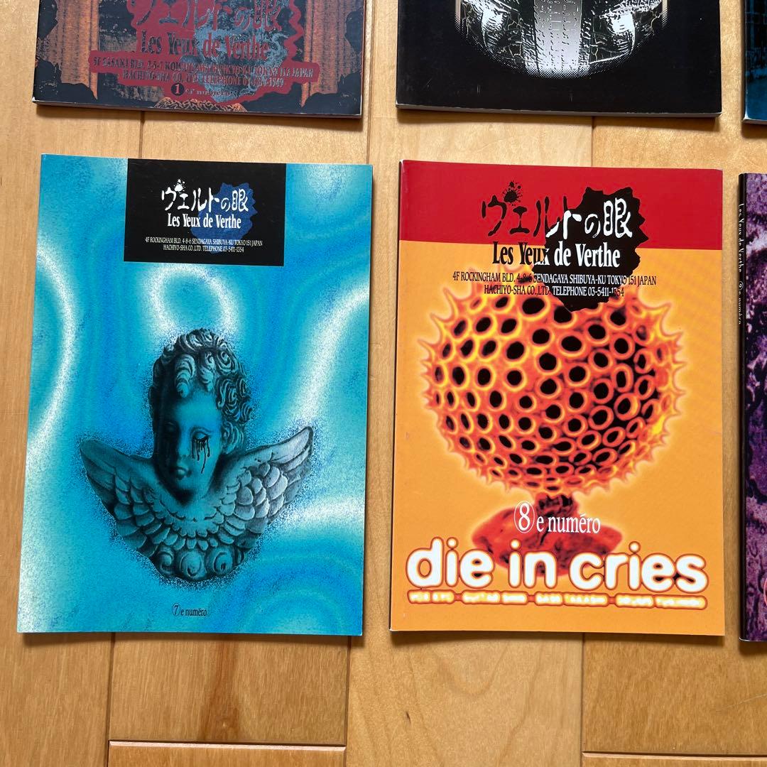 DIE IN CRIES ファンクラブ　ヴェルトの眼の会報  8冊セット