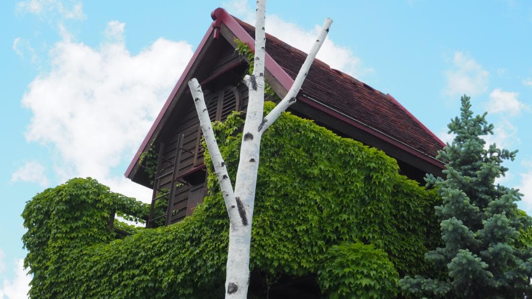 LUMIX G 35-100mm F4.0-5.6 シルバー 望遠ズーム