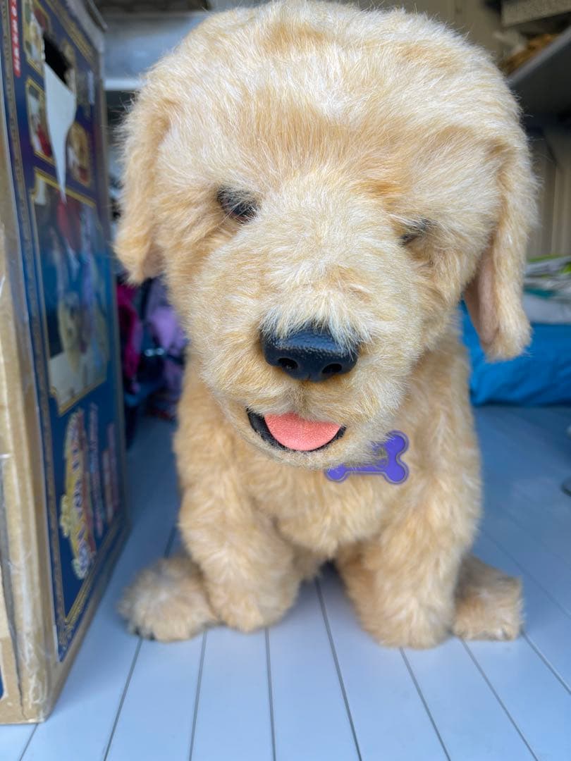 めぐさま専用 夢いぬDX ゴールデンレトリバー - メルカリ