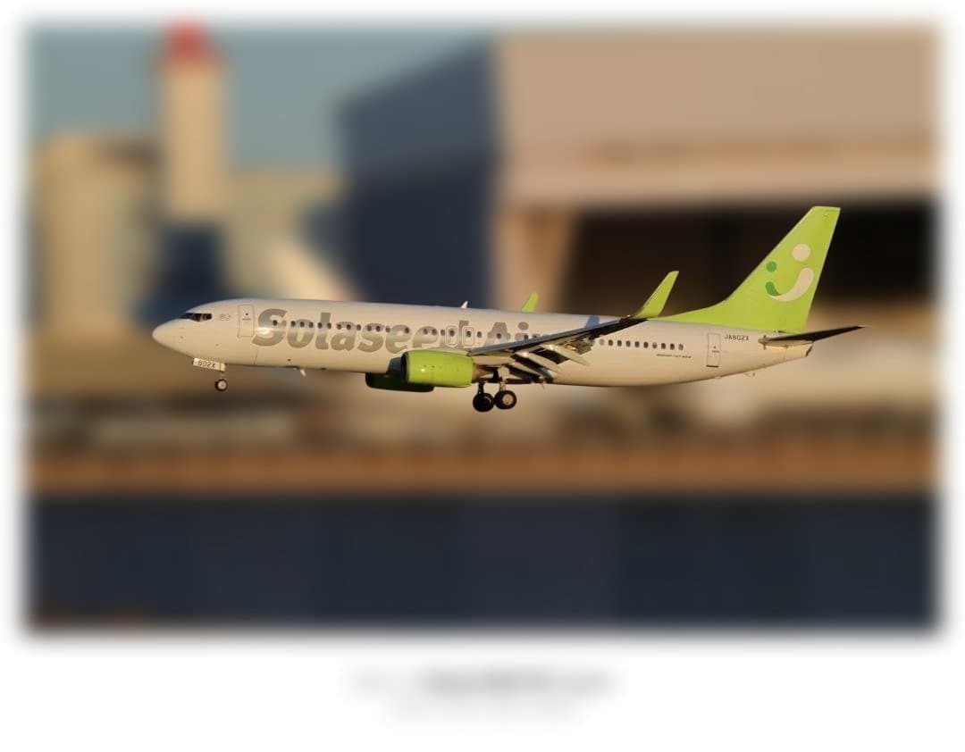 TAMRON AF 28-300mm f/3.5-6.3 VC　フード汚れあり