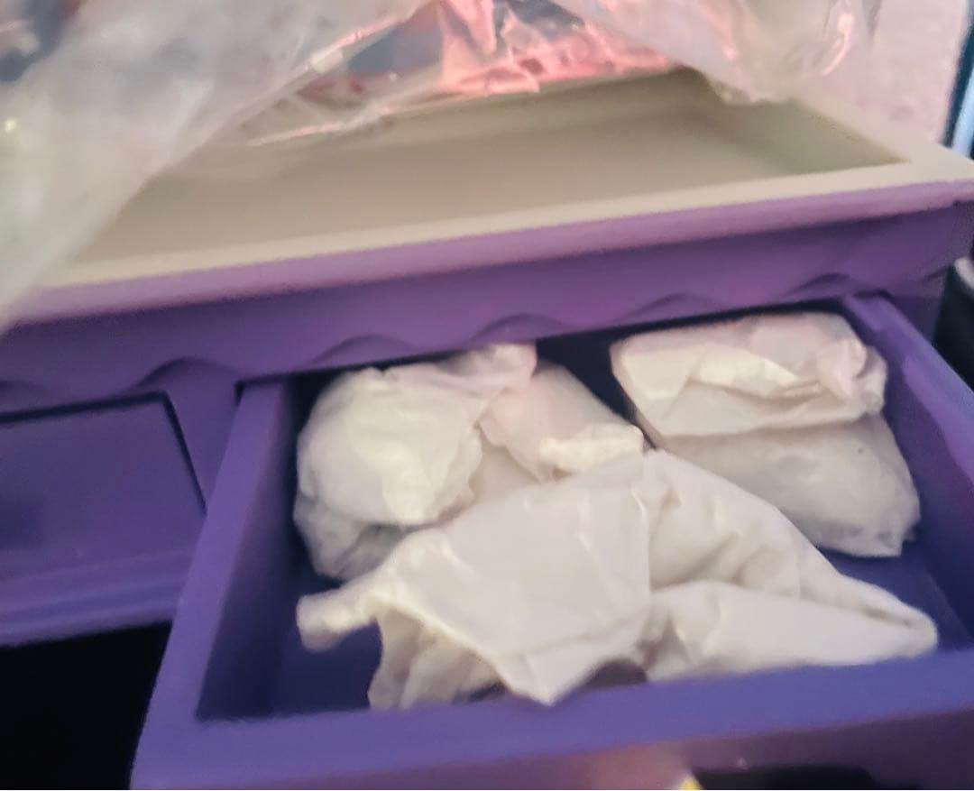 ディズニー　トイ ストーリー4 バズ ダッキー ＆バニー 　アクセサリーケース