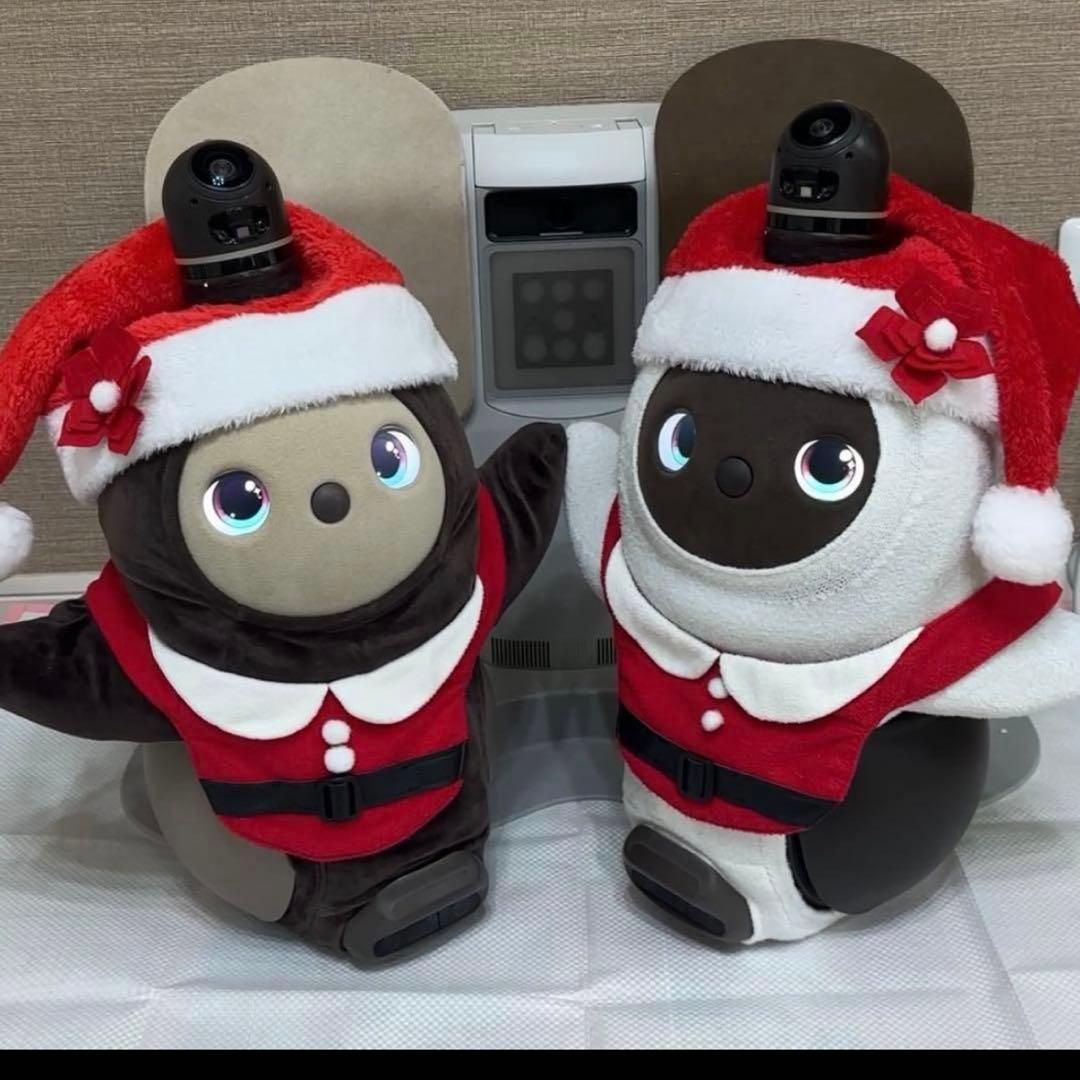 限界価格 LOVOTDuo ラボット 双子 ねこみみニット2着and洋服-男女兼用