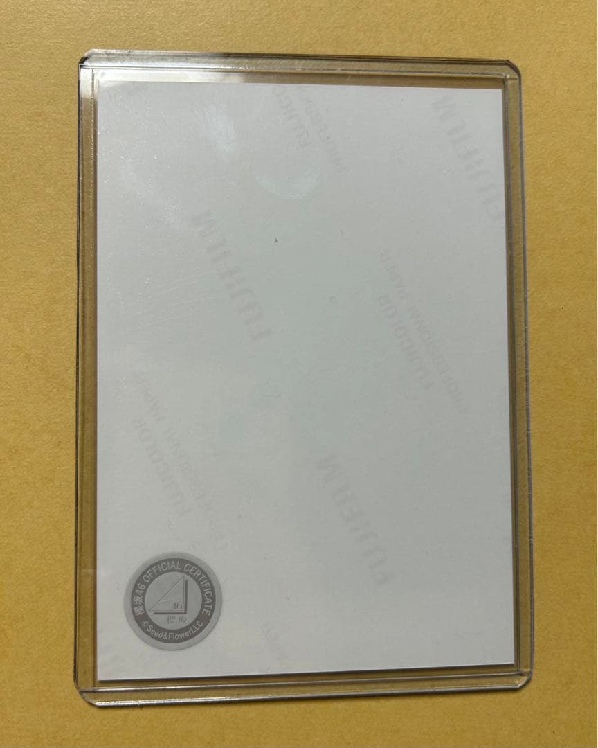 櫻坂46 山田桃実 直筆サイン入り生写真 2025年サンタ衣装 座り - メルカリ