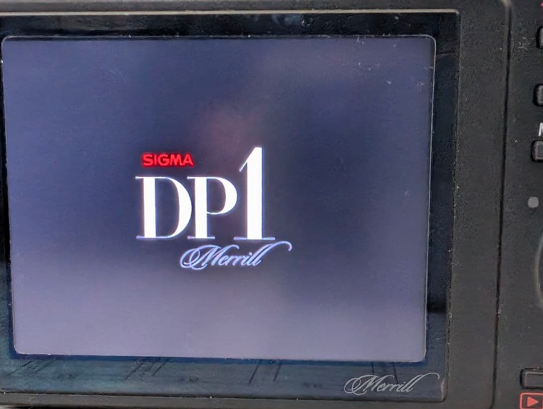 SIGMA DP1 Merrill バッテリー4個 レザージャケット付