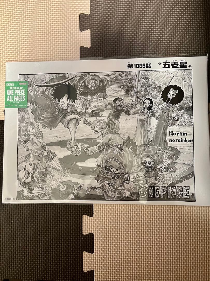 ONE PIECE ALL PAGES 第609話 - メルカリ