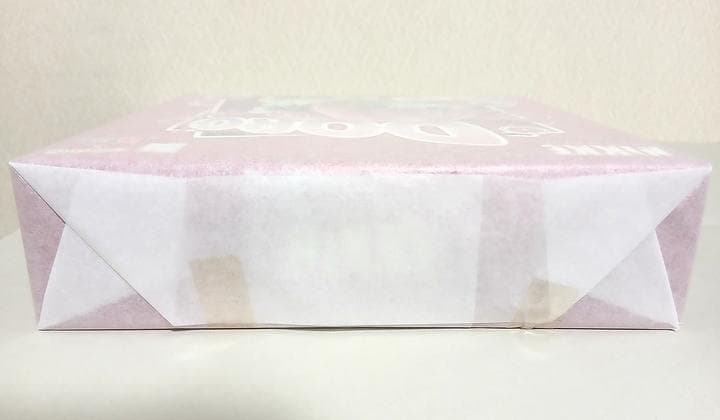 【新品未開封】勝利の女神：NIKKE DORO ノンスケール あみあみ×蝸之殼