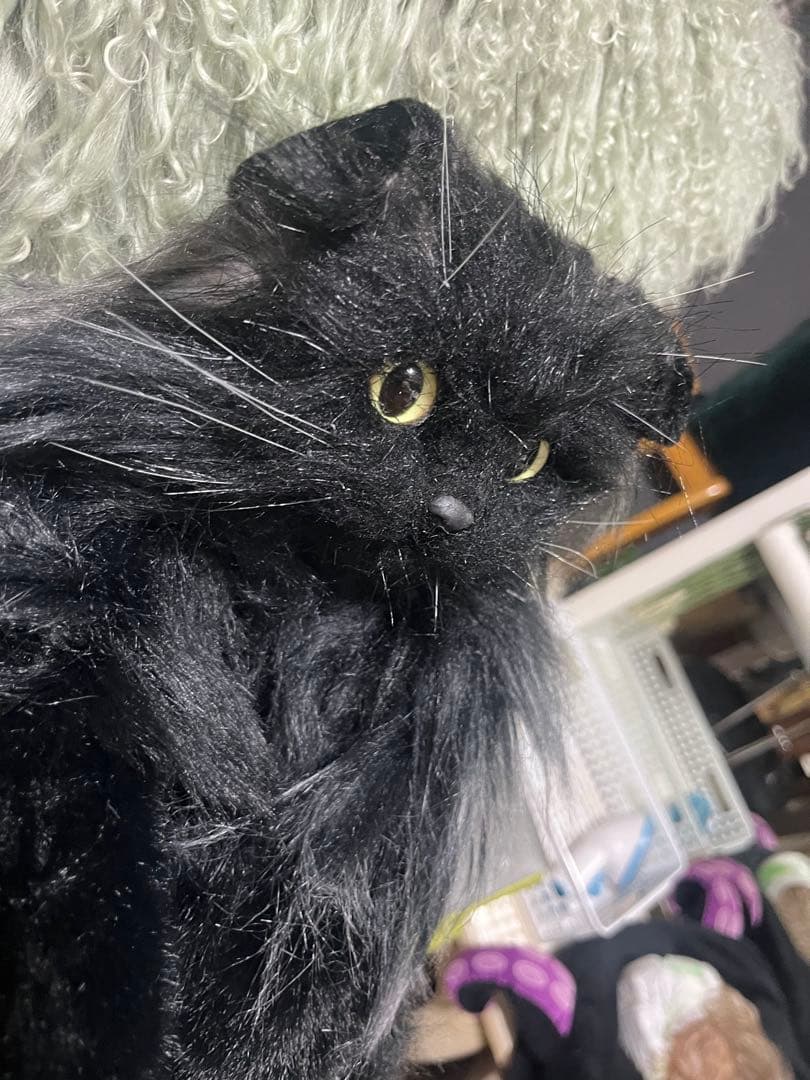 ぶ*ん様 リアル黒猫ぬいぐるみ ストラップ付き